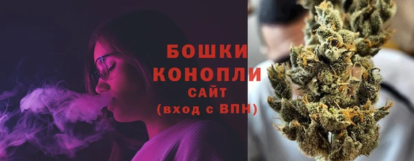 мдпв Мегион