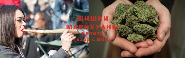 мдпв Мегион