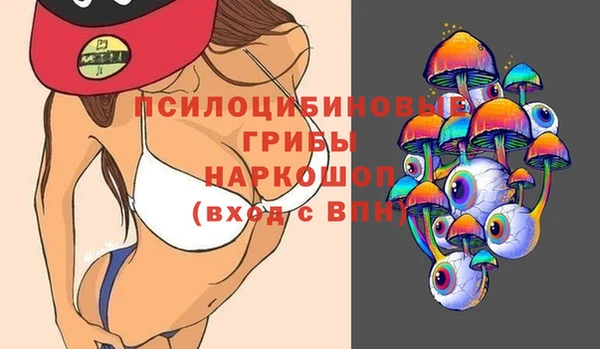 прущая мука Вяземский